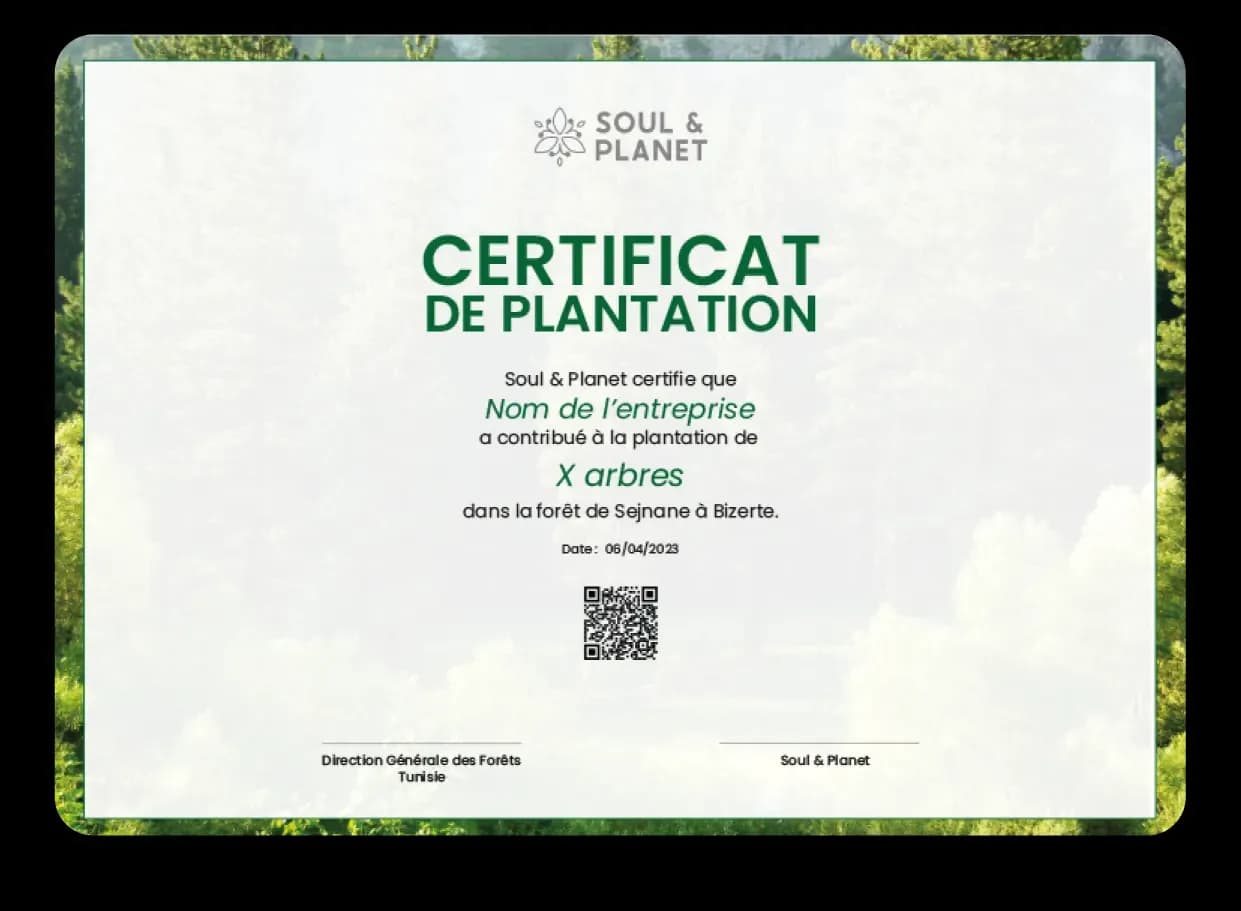 Certificat de plantation Soul & Planet, forêt de Sejnane à Bizerte